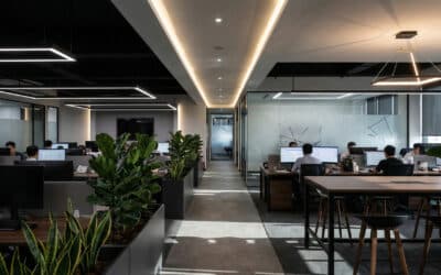 The Importance of Lighting in an Office Environment